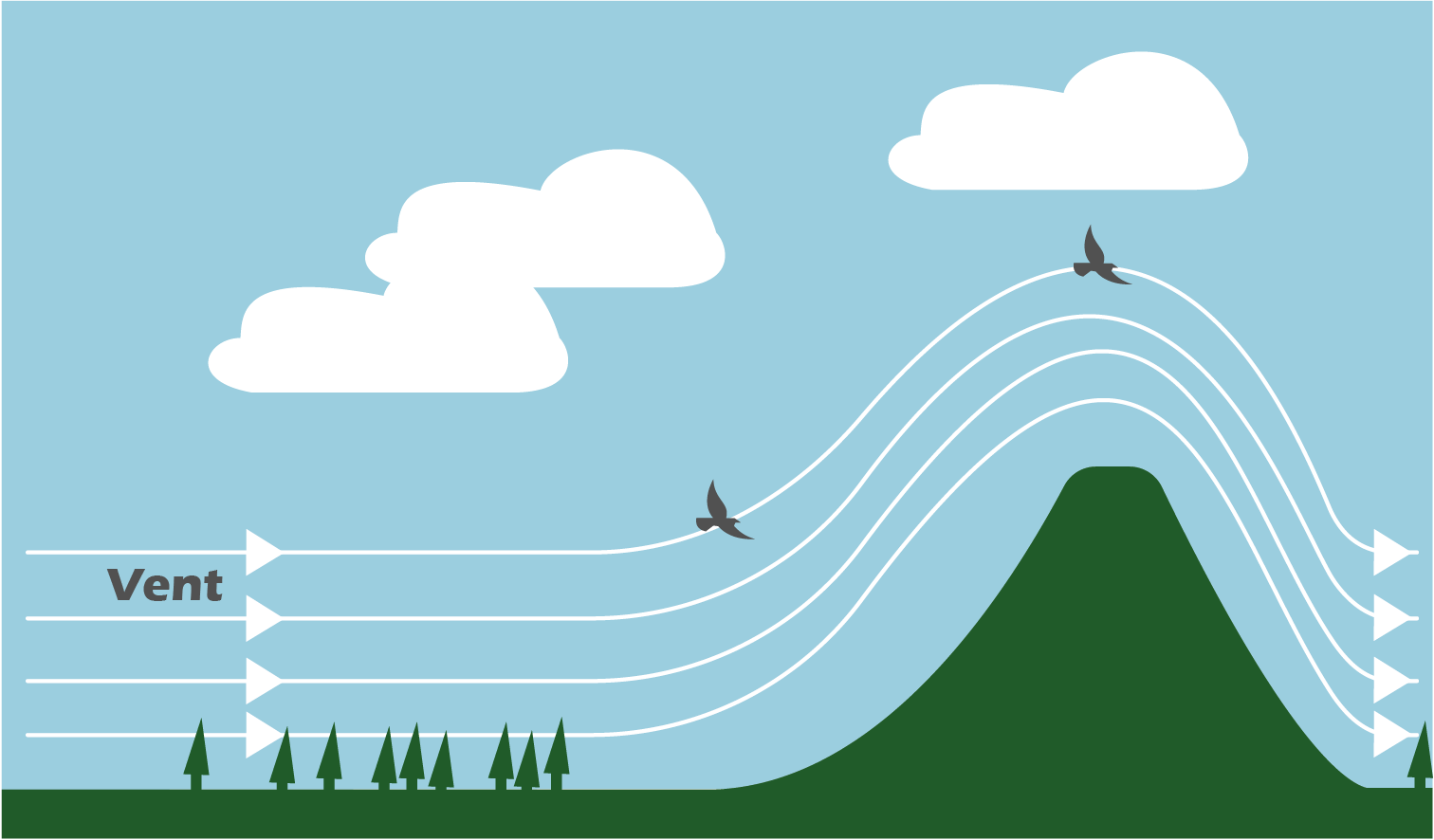 Schéma (en 2D) représenatant la physique derrière le phénomène naturel. On peut voir une montagne sur le coté droit. Le sol autour de la montagne est plat. Dans le ciel, on peut voir des lignes blanches représentant le vent (allant de gauche à droite).