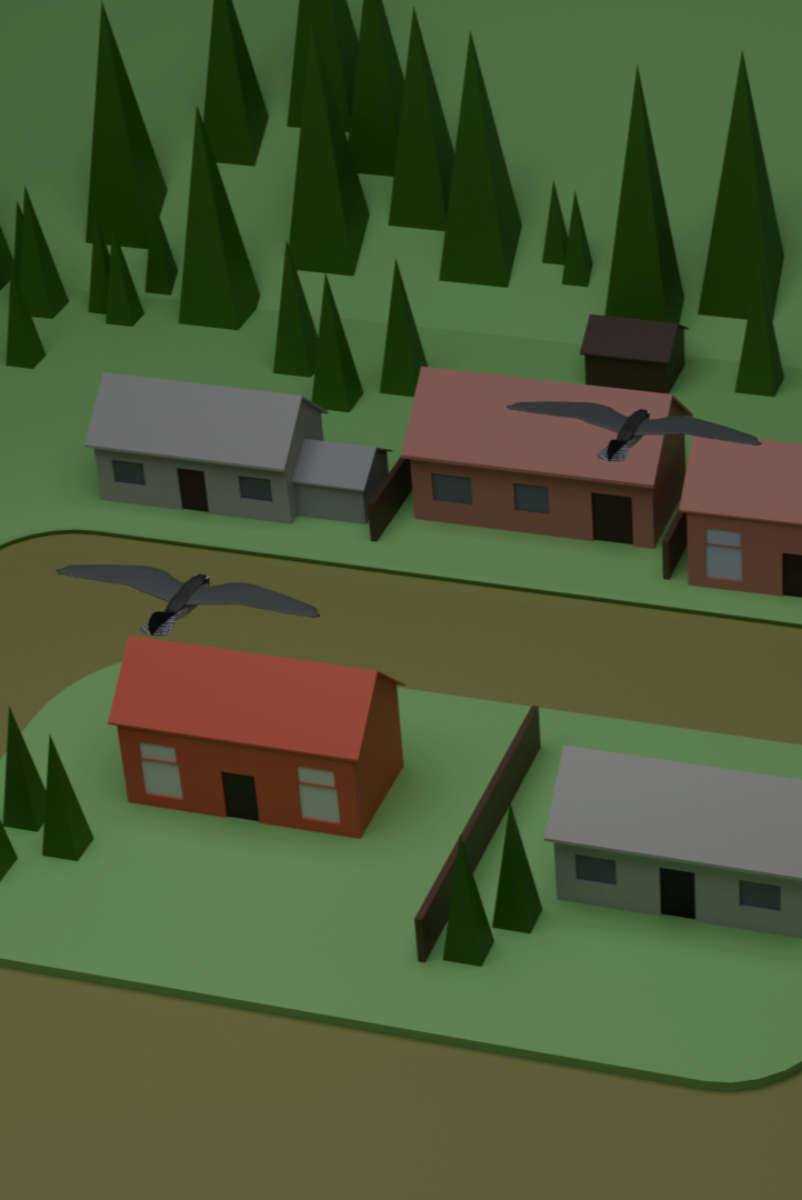 Rendu 3D d'un village survolé par 2 drones oiseaux que j'ai réalisé sur Blender.