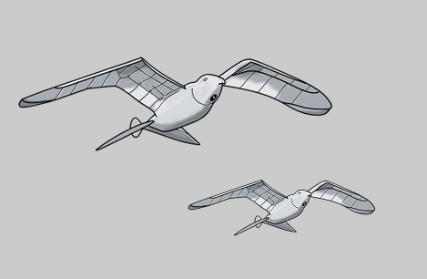 Image en nuances de gris montrant 2 illustrations de drones oiseaux en vol.